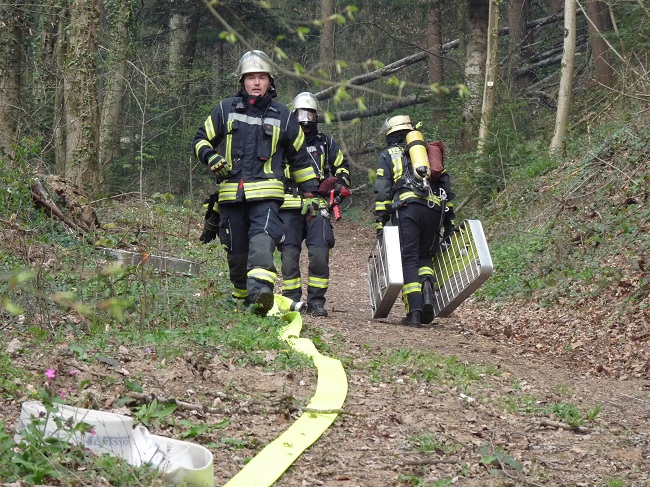 Waldbrand in Hausach